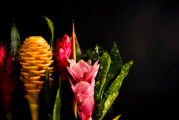 Bright arrangement of tropical exotic flowers and leaves on black. Elegant collection of unusual long-lasting hot climate flowers guzmania, strelitzia, bromeliad, heliconia, Crotón, sansevieria © Tatiana