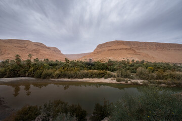 Landscape of an impressive oasis in the Ziz River valley, located in the Middle Atlas region in Morocco, North Africa