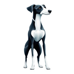 Obraz premium A black and white dog is standing on a white background