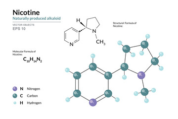 Nicotine. Alkaloid. Structural Chemical Formula and 3d Model of Molecule. C10H14N2. Atoms with Color Coding. Vector graphic Illustration for educational materials, scientific articles, presentations