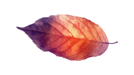 A leaf with a brown and orange color isolated on a transparent background