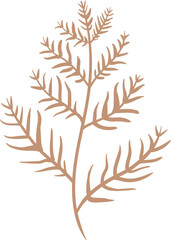 flat abstract brown dry autumn leaf branch