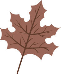 Obraz premium flat abstract brown dry autumn leaf