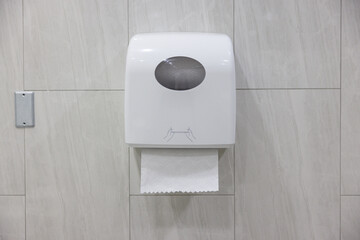A roll of toilet paper is hanging on a wall