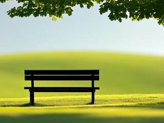 Obraz premium Tranquil park bench under shade on a sunny afternoon