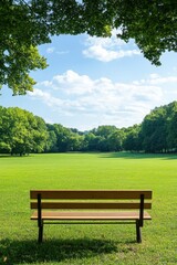 Serene park bench overlooking lush green meadow under clear blue sky