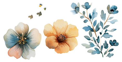 Wild flowers vector collection. Herbaceous flowering plants, blooming flowers, subshrubs isolated on white background. Hand drawn detailed botanical vector illustration.