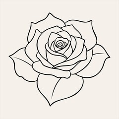 Rose Flower Line Art Illustration