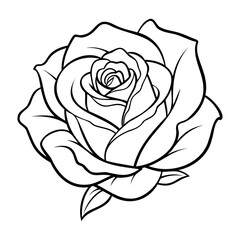 Rose Flower Line Art Illustration
