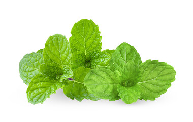 mint isolated on transparent png