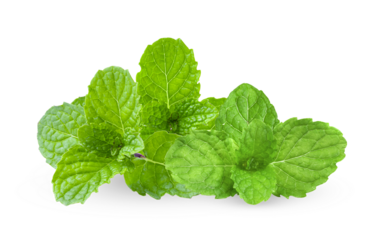 mint isolated on transparent png