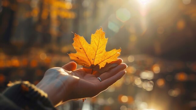 Gratitude Mindset: Centers on valuing and being thankful for life's positives. Developing this mindset can elevate happiness, improve relationships, and support overall well-being.
