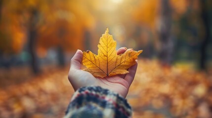 Gratitude Mindset: Focuses on appreciating life's positive aspects. Cultivating this mindset boosts happiness, strengthens relationships, and enhances overall well-being.
