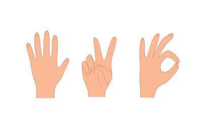 Hand gestures, vector illustration set of icons of various hand signs.