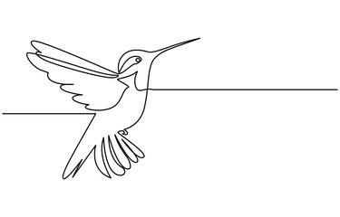 Continuous one line drawing of flying hummingbird. One line drawing illustration of colibri. Flying animal concept Single line, Hummingbird one line art design. Hand drawn illustration of hummingbird.