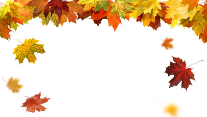 Beautiful yellow,red,orange foliage. Natural background. Border frame of colorful leaves. Vibrant fall colors.Autumn  leaves cut outs