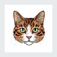 A sweet cat and Hand drawn vector illustration