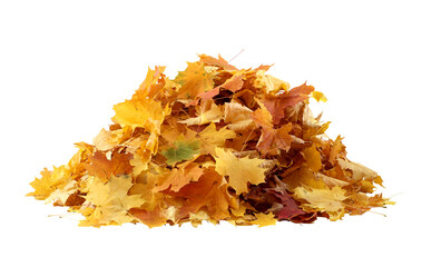 Pile of yellow autumn leaves isolated. A heap of different maple dry leaves cut out
