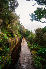 Obraz premium Magical misty green forest with waterfalls in Levada do Norte, Madeira island, Portugal. PR17 Pinaculo e Folhadal