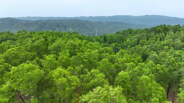 Breathtaking Aerial Perspective Hills Backround of Verdant Forest