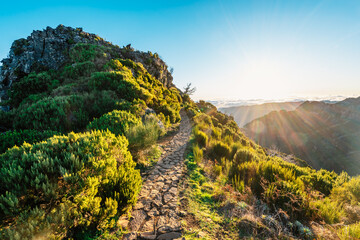 Hiking on the highest peak of Madeira Pico Ruivo next to the cottage Abrigo do Pico Ruivo. Views of...