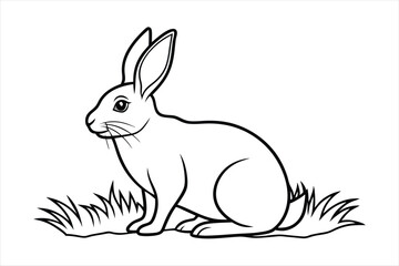 Obraz premium A rabbit sitting calmly on a patch of grass line art vector