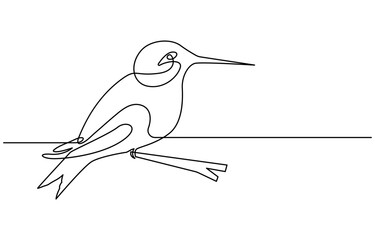 Continuous one line drawing of flying hummingbird. One line drawing illustration of colibri. Flying animal concept Single line, Hummingbird one line art design. Hand drawn illustration of hummingbird.
