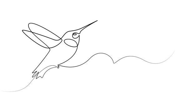 recommend clip art: Continuous one line drawing of flying hummingbird. One line drawing illustration of colibri. Flying animal concept Single line, Hummingbird one line art design. Hand drawn illustration of hummingbird.