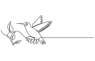 Continuous one line drawing of flying hummingbird. One line drawing illustration of colibri. Flying animal concept Single line, Hummingbird one line art design. Hand drawn illustration of hummingbird.