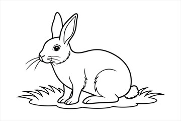 Obraz premium A rabbit sitting calmly on a patch of grass line art vector