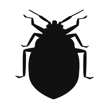 Illustration of bed bug silhouette. Black and white.