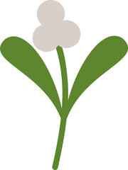 Mistletoe Branch Graphic Illustration