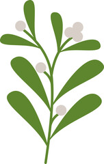 Mistletoe Branch Graphic Illustration