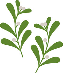 Mistletoe Branch Graphic Illustration