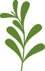 Mistletoe Branch Graphic Illustration