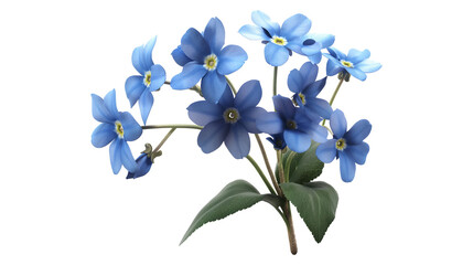 Fototapeta premium A bouquet of blue flowers is displayed on a white background