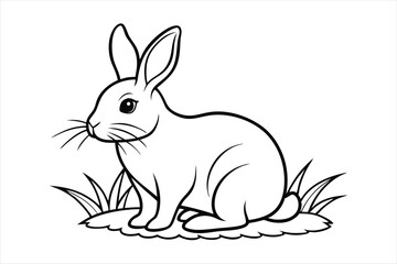 Obraz premium A rabbit sitting calmly on a patch of grass line art vector