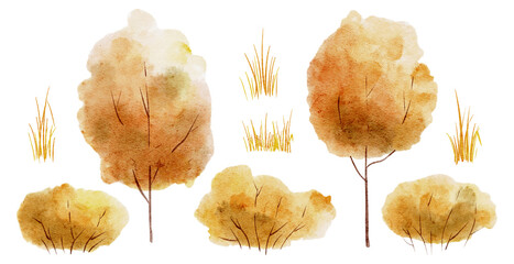 Autumn trees watercolor illustration. Drawing for clipart with orange shrubs and yellow grass on isolated background. Forest plants for greeting cards or invitations. Elements for harvest design.