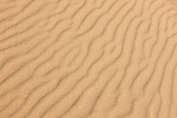 Rippled beach sand, partially frozen, at Harrington Beach State Park, Belgium, Wisconsin in late November