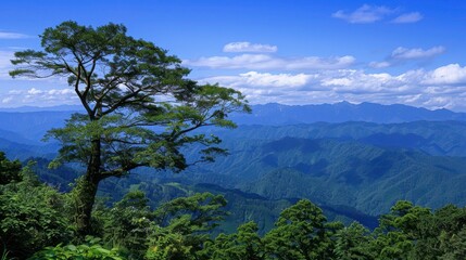 Majestic Sunrise or Sunset over the Mountains