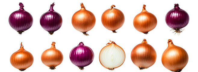 Collection of different  Onions  on transparent background