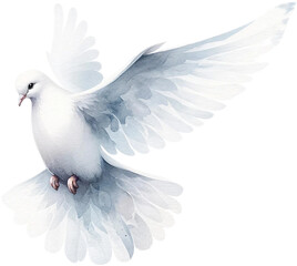 A white dove is flying in the air. The bird is the color white and has a black beak
