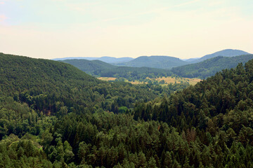 Aussicht in den Pfälzerwald von den Altdahner Burgen bei Dahn im deutschen Landkreis Südwestpfalz...