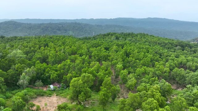 Tranquil Aerial Landscape of Green Forest Terrain at Jaflong Sylhet