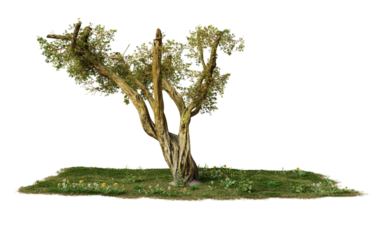 Model olive tree on a black background.