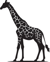 Naklejka premium giraffe vector art,graphics giraffes icons set,vintage illustration giraffe clipart,vector giraffes flat style artwork design