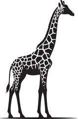Naklejka premium giraffe vector art,graphics giraffes icons set,vintage illustration giraffe clipart,vector giraffes flat style artwork design