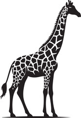 Naklejka premium giraffe vector art,graphics giraffes icons set,vintage illustration giraffe clipart,vector giraffes flat style artwork design