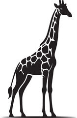 Fototapeta premium giraffe vector art,graphics giraffes icons set,vintage illustration giraffe clipart,vector giraffes flat style artwork design