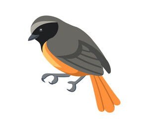 Cute common redstart bird in resting position. Cartoon animal design, stylized bird with grey and orange feathers. Vector illustration isolated on white background